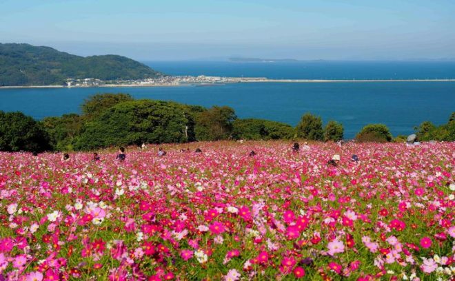 【福岡県】日帰りドライブデート！女性が感動する絶景スポット特集 Carticle！｜ カーティクル！