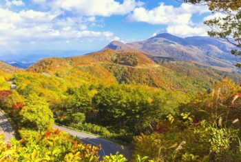 秋グルメと温泉で羽を伸ばそう！福島県の紅葉を楽しめるドライブコース