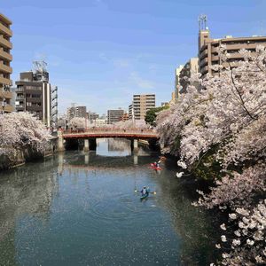 大岡川プロムナード